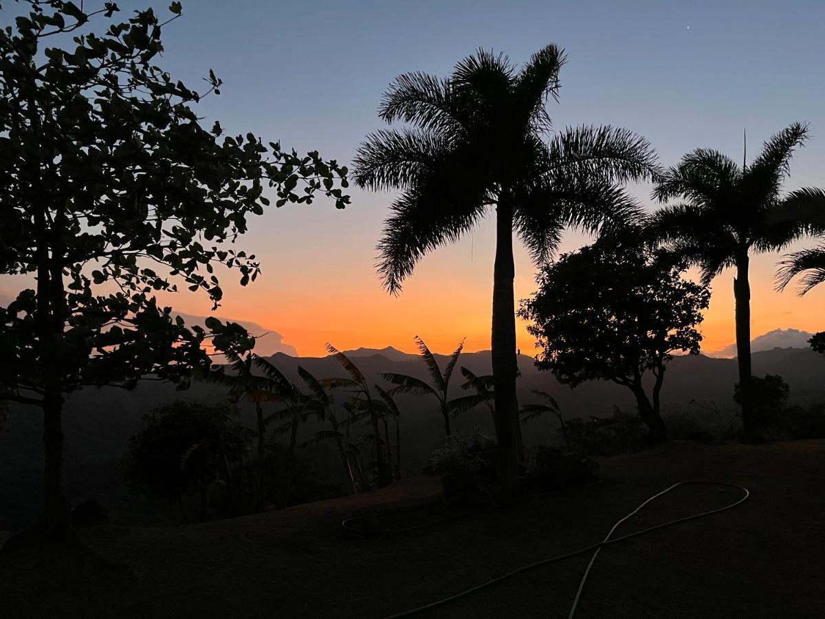 לה לגונה Hawk'S Nest Bed & Breakfast מראה חיצוני תמונה